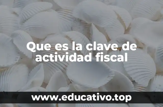 Que es la clave de actividad fiscal