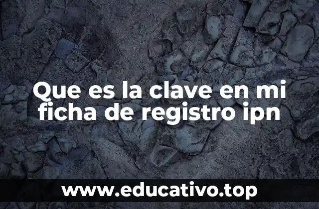 El proceso de registro en el IPN y su importancia