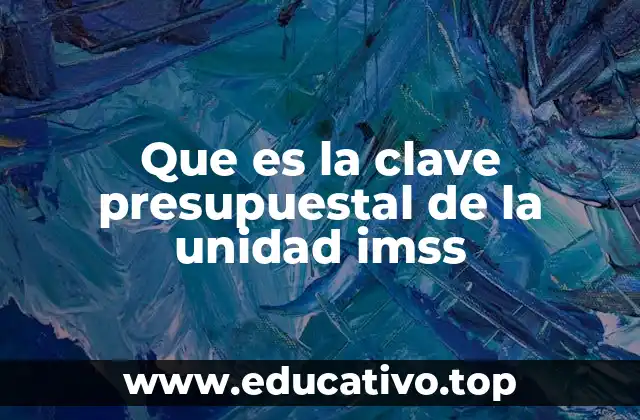 La importancia de las claves presupuestales en el IMSS