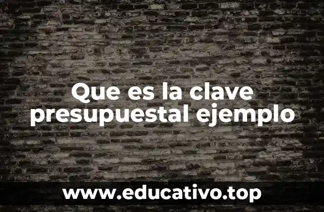 Que es la clave presupuestal ejemplo