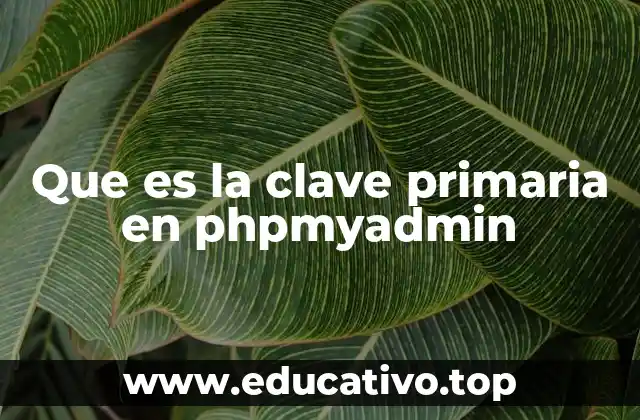 Que es la clave primaria en phpmyadmin