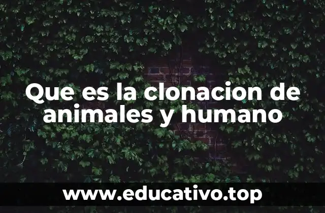 Que es la clonacion de animales y humano