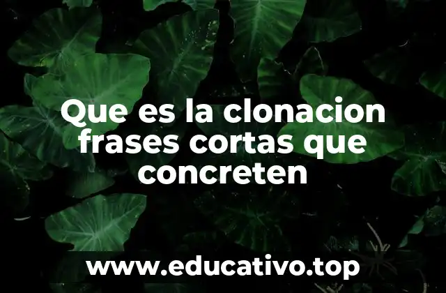 Que es la clonacion frases cortas que concreten