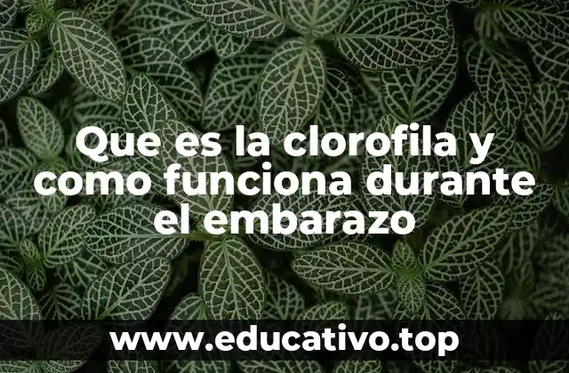 La relación entre la clorofila y la salud durante la gestación