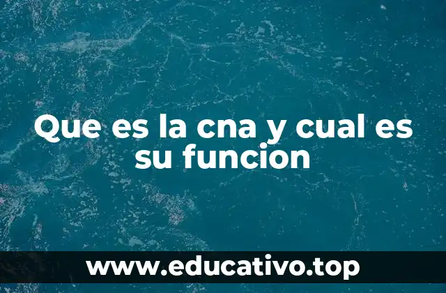 Que es la cna y cual es su funcion