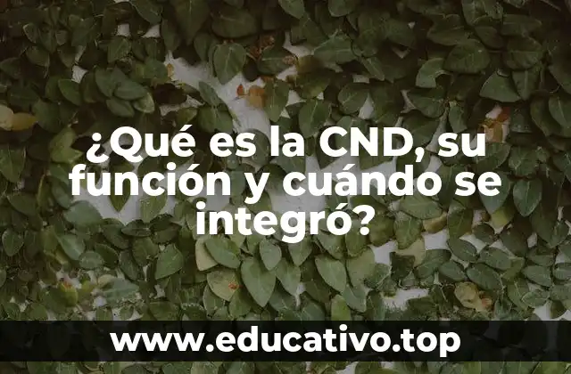 ¿Qué es la CND, su función y cuándo se integró?