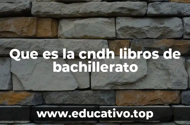 Que es la cndh libros de bachillerato