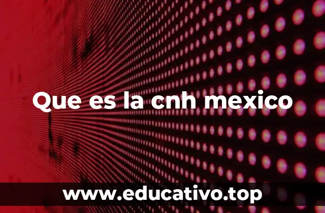 El papel de la CNH en la modernización del sector energético