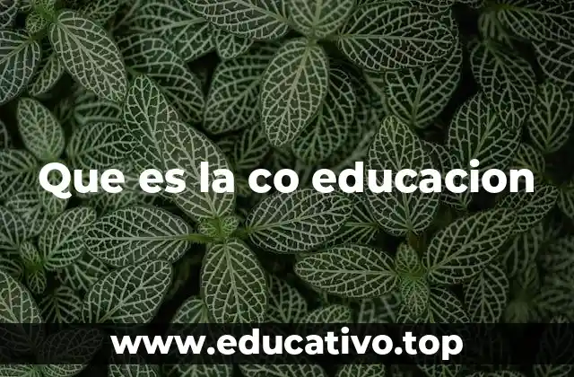 Que es la co educacion