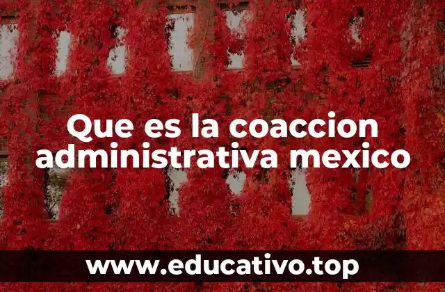 Que es la coaccion administrativa mexico