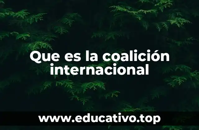 Que es la coalición internacional