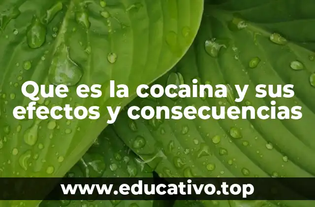 Que es la cocaina y sus efectos y consecuencias
