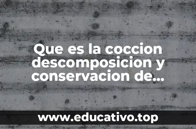 El rol de los procesos en la cadena alimentaria