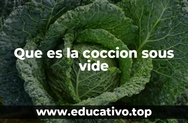 Que es la coccion sous vide