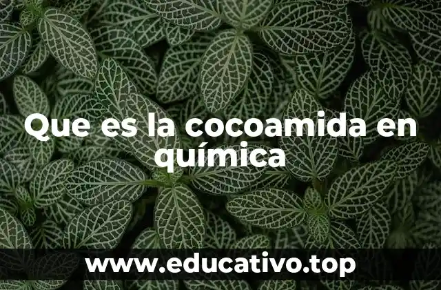 Que es la cocoamida en química