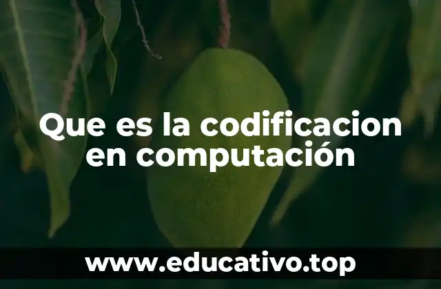 Que es la codificacion en computación