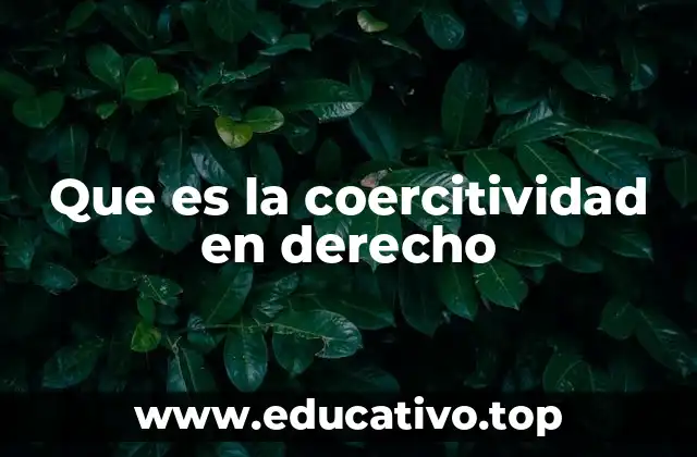 Que es la coercitividad en derecho