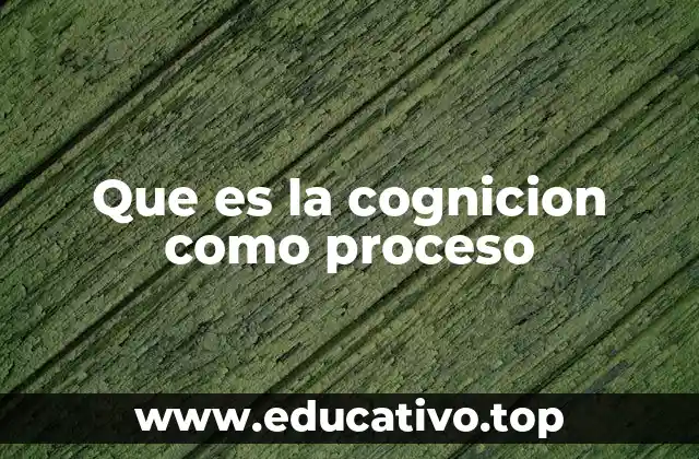 Que es la cognicion como proceso