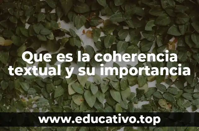 Que es la coherencia textual y su importancia