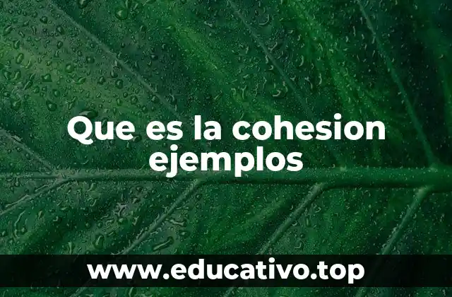 Que es la cohesion ejemplos