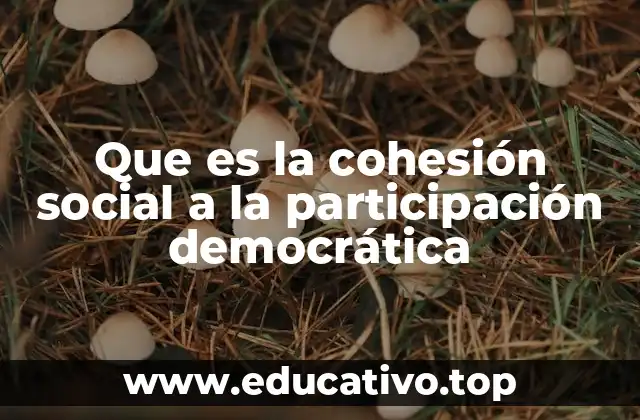Que es la cohesión social a la participación democrática