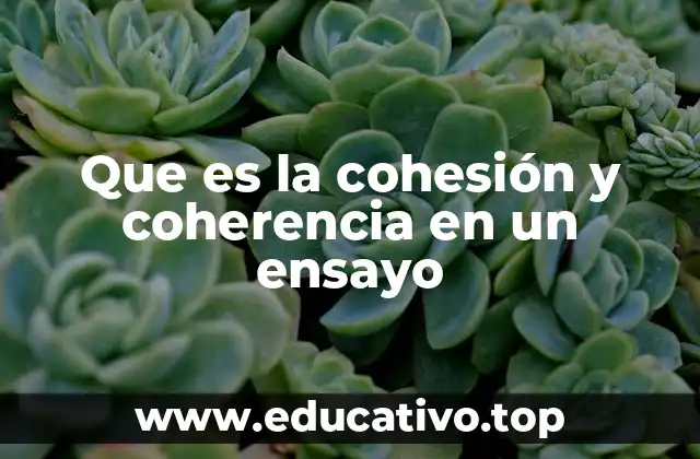 Cómo construir un discurso claro y lógico en los textos académicos
