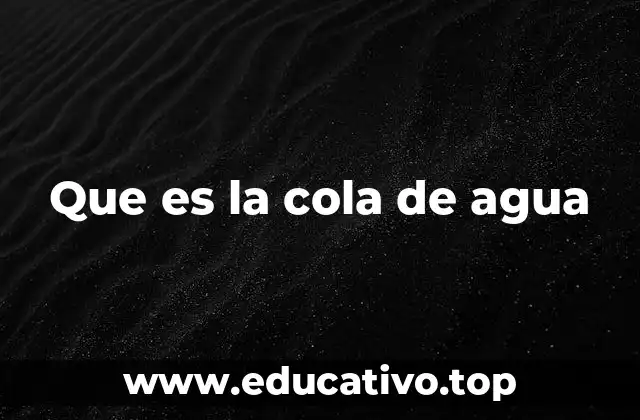 Que es la cola de agua