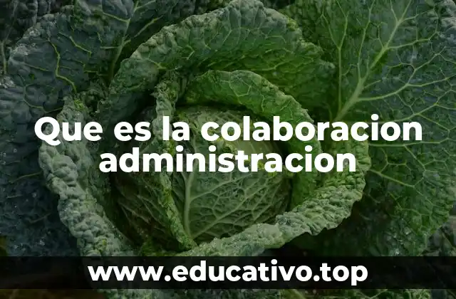 Que es la colaboracion administracion