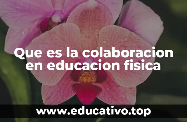 Que es la colaboracion en educacion fisica