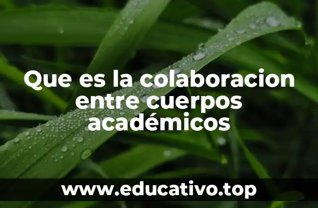 Que es la colaboracion entre cuerpos académicos