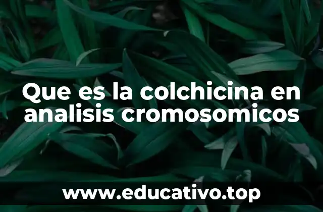 Que es la colchicina en analisis cromosomicos