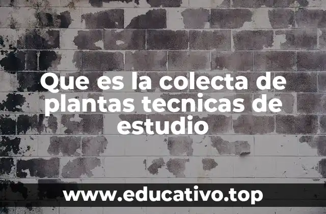 Que es la colecta de plantas tecnicas de estudio
