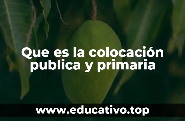 Que es la colocación publica y primaria