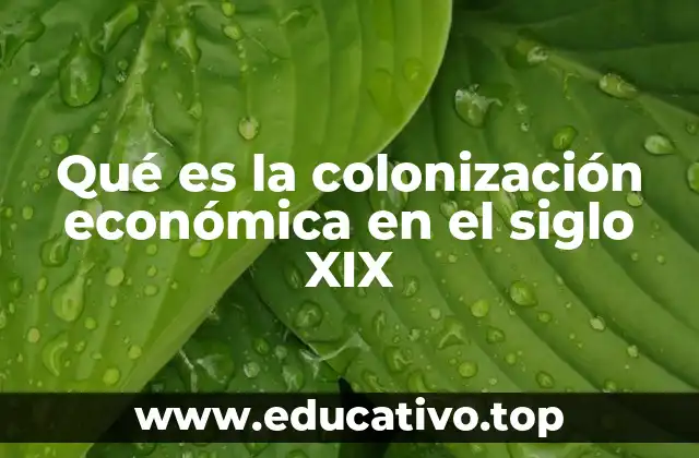 Qué es la colonización económica en el siglo XIX