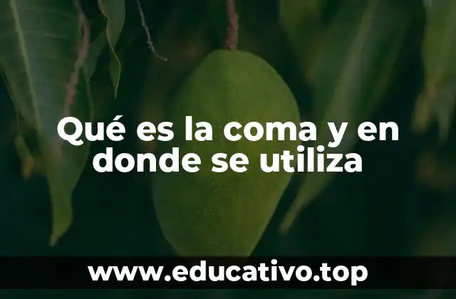 Qué es la coma y en donde se utiliza