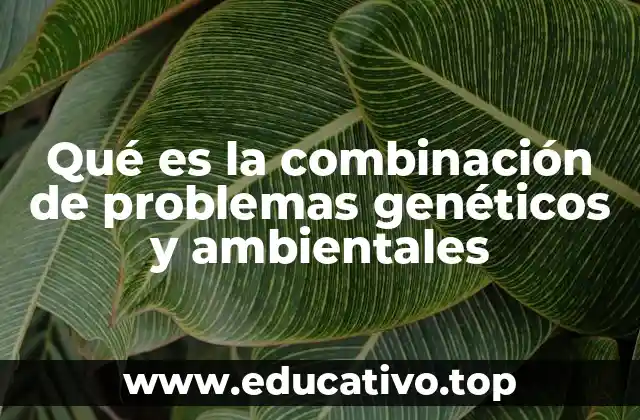 Qué es la combinación de problemas genéticos y ambientales