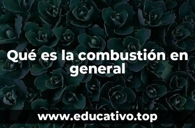 Qué es la combustión en general