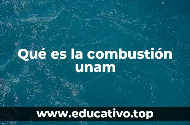 Qué es la combustión unam