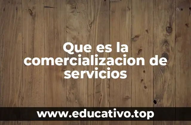 Que es la comercializacion de servicios