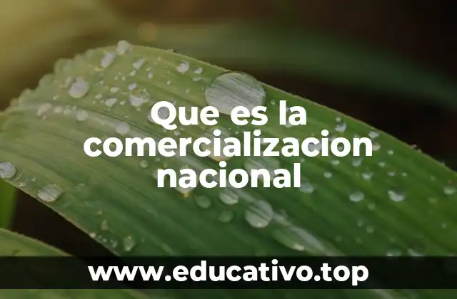 Que es la comercializacion nacional
