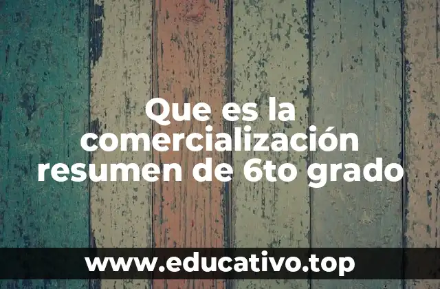 Que es la comercialización resumen de 6to grado
