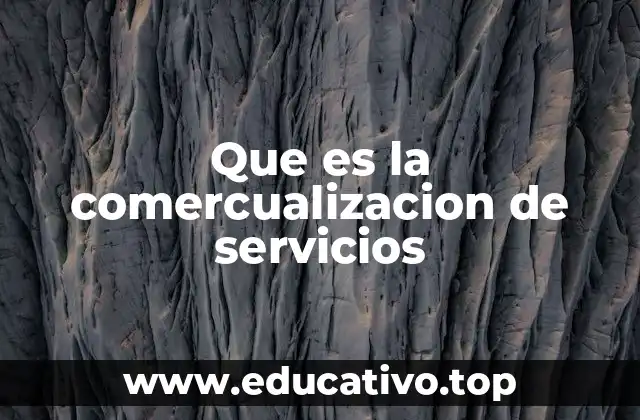 Que es la comercualizacion de servicios