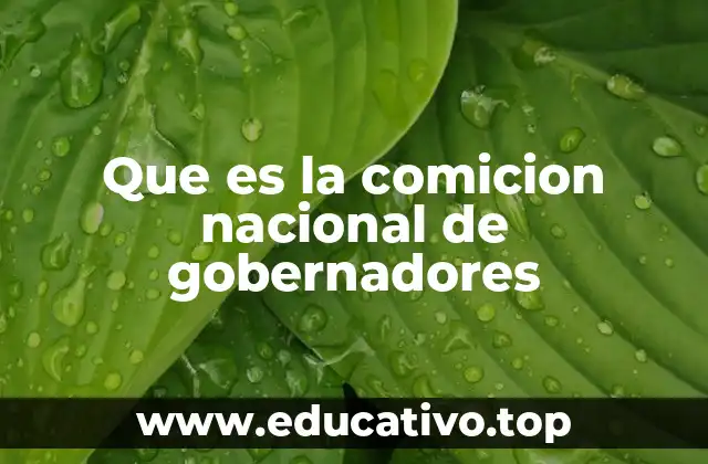 Que es la comicion nacional de gobernadores