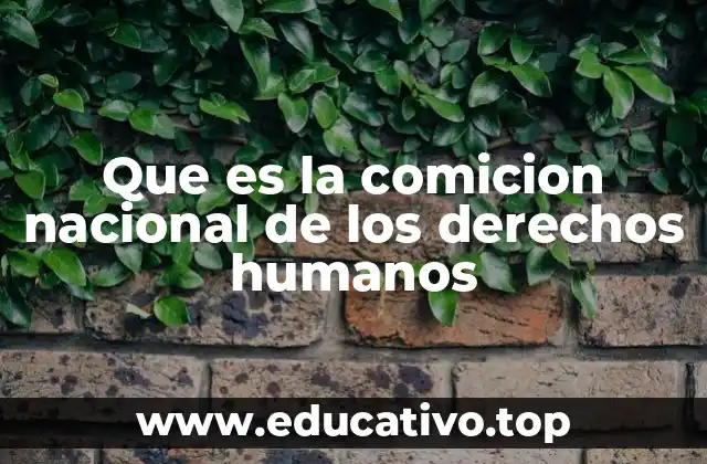 Que es la comicion nacional de los derechos humanos