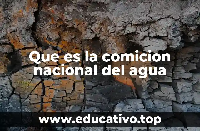 Que es la comicion nacional del agua