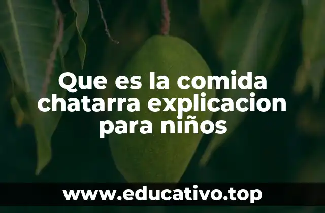 Que es la comida chatarra explicacion para niños