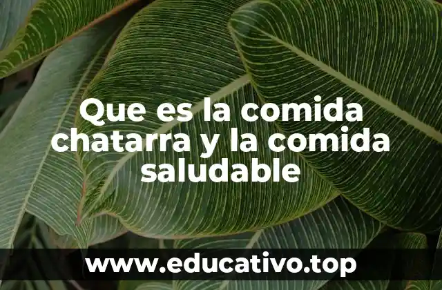 Que es la comida chatarra y la comida saludable
