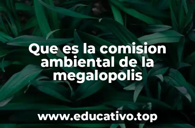 Que es la comision ambiental de la megalopolis