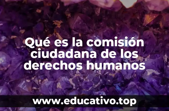 Qué es la comisión ciudadana de los derechos humanos