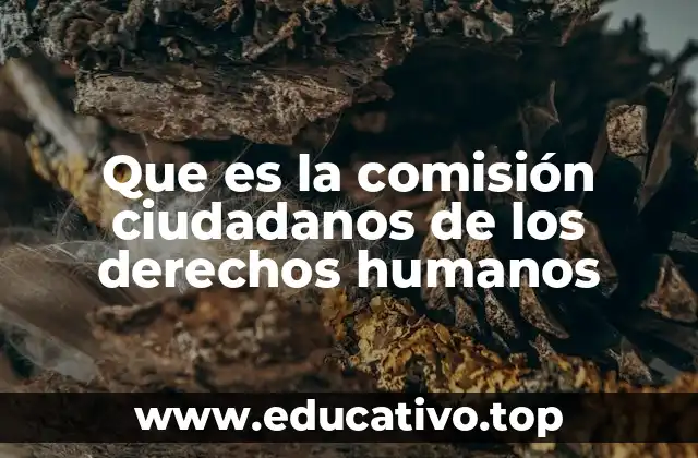Que es la comisión ciudadanos de los derechos humanos